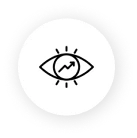 our vision